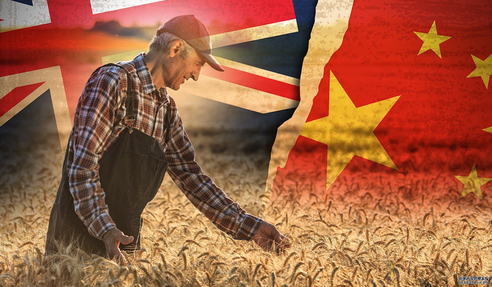 損失超5436億？澳新貿(mào)易部長(zhǎng)再向中方求和